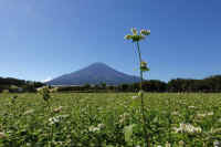 2025101702340-1.jpg (96769 oCg)