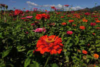 2025101702347-1.jpg (119554 oCg)