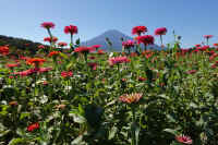 2025101702350-1.jpg (136591 oCg)