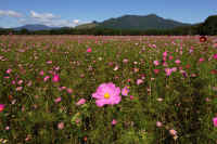 2025101702354-1-1.jpg (140007 oCg)