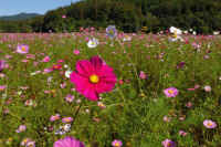 2025101702365-1.jpg (136088 oCg)