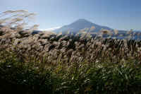 2025101702371-1.jpg (124053 oCg)