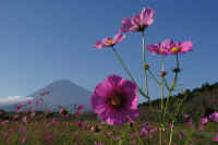 2025101702400-1.jpg (65996 oCg)