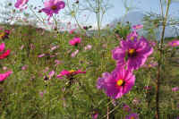 2025101702407-1.jpg (149028 oCg)