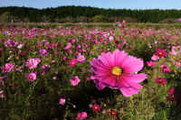 2025101702435-1.jpg (130304 oCg)