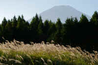 2025101702443-1.jpg (196501 oCg)