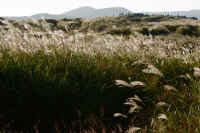 2025101702445-1.jpg (113617 oCg)