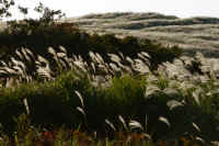 2025101702448-1.jpg (254941 oCg)