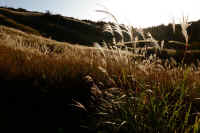 2025101702455-1-1.jpg (105901 oCg)