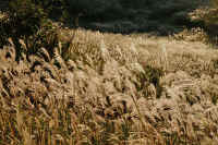 2025101702459-1.jpg (180784 oCg)