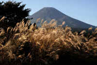 2025101702469-1.jpg (122718 oCg)