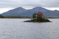 2025102402507-1-1_edited-1.jpg (69389 oCg)