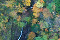 2025102409244-2.jpg (168715 oCg)