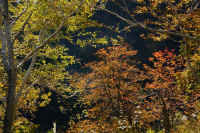 2025102409251-1.jpg (196424 oCg)