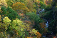 2025102409257-1.jpg (148903 oCg)