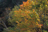 2025102409264-1.jpg (159997 oCg)