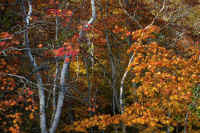 2025102409266-1.jpg (180116 oCg)