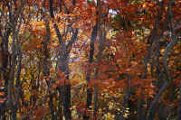 2025102409269-2-1p.jpg (182701 oCg)