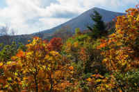 2025102409272-1.jpg (147069 oCg)