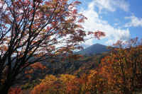 2025102409288-1.jpg (159757 oCg)