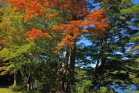 2025102409293-2.jpg (173249 oCg)