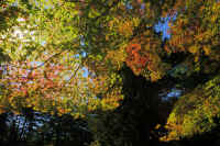 2025102409296-1.jpg (441177 oCg)