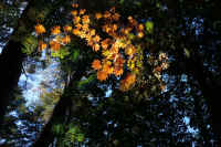 2025102409316-1.jpg (144800 oCg)