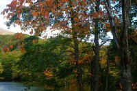 2025102409358-1.jpg (154051 oCg)