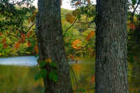 2025102409360-1.jpg (128109 oCg)