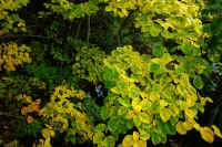 2025102409363-1.jpg (357160 oCg)