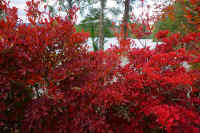 2025102409367-1.jpg (146210 oCg)