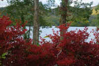 2025102409372-1.jpg (132651 oCg)