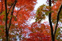 2025110802559-1.jpg (116206 oCg)