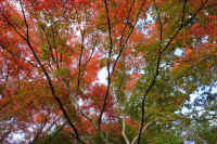 2025110802563-1-1.jpg (187790 oCg)