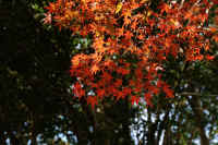 2025111402707-1.jpg (119227 oCg)