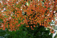 2025111402714-1.jpg (182626 oCg)