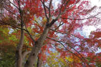 2025111402721-1.jpg (178955 oCg)