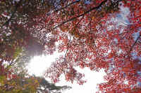 2025111402726-1.jpg (191290 oCg)