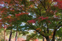 2025111402727-1-1.jpg (151682 oCg)