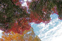 2025111402730-1.jpg (146307 oCg)