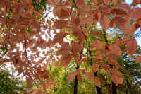 2025111402731-1.jpg (153720 oCg)