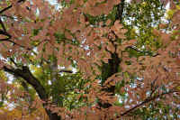 2025111402733-1.jpg (172102 oCg)