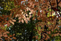 2025111402735-1.jpg (161729 oCg)