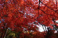 2025111402742-1.jpg (172527 oCg)