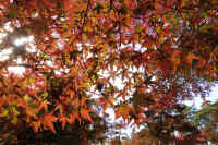 2025111402744-1.jpg (163615 oCg)