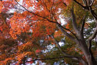 2025111402755-1.jpg (179790 oCg)