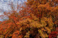 2025111402765-1.jpg (171888 oCg)