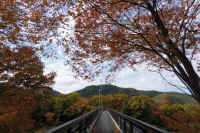 2025111402767-1.jpg (162227 oCg)