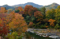 2025111402772-1.jpg (119190 oCg)