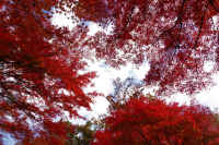 2025111402781-1.jpg (189129 oCg)